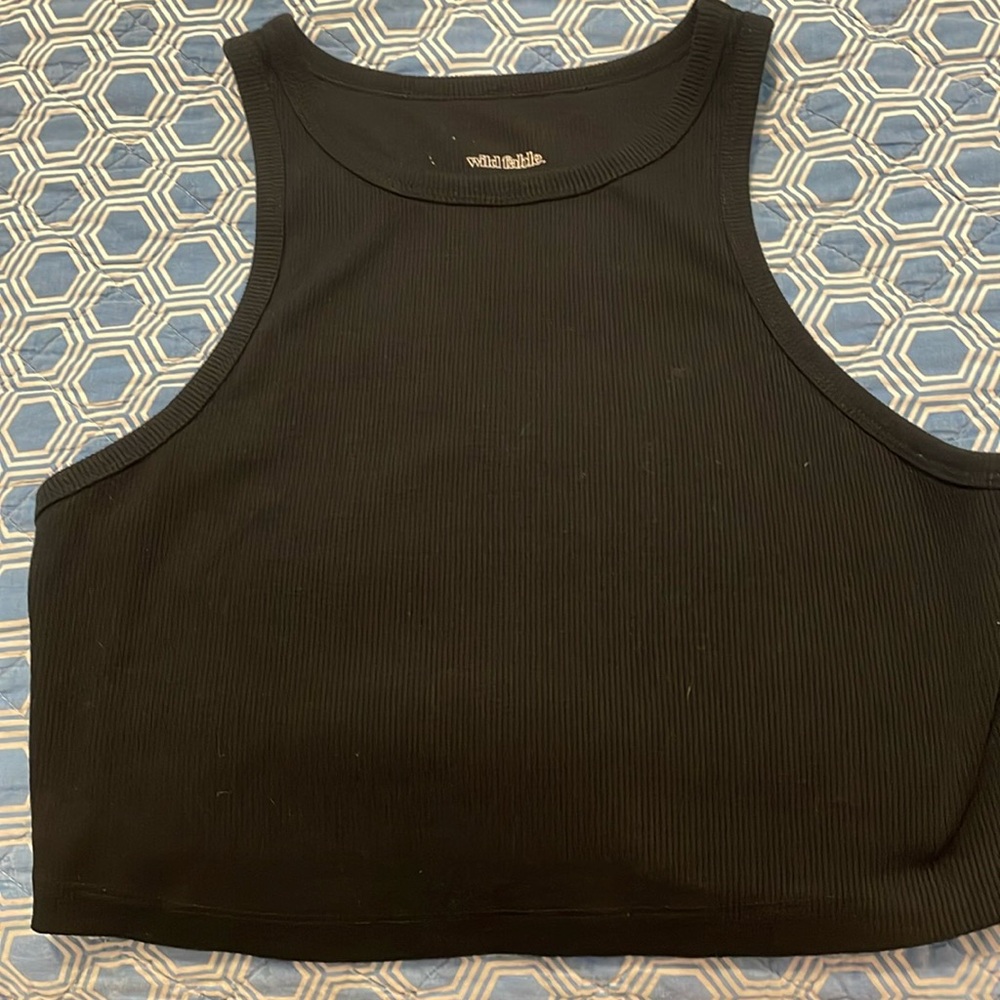 Wild Fable Cropped tank size Large